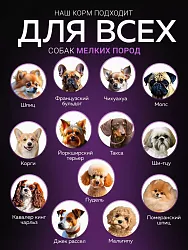 Корм для собак мелких пород Buddy Dinner Gold Line с индейкой, 10 кг + 2 кг