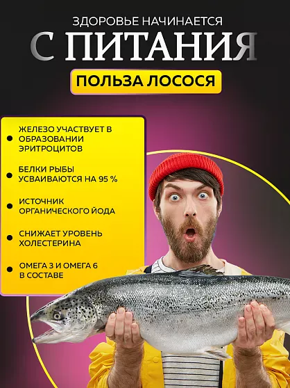 Корм для собак мелких пород Buddy Dinner Gold Line с лососем, 10 кг + 2 кг