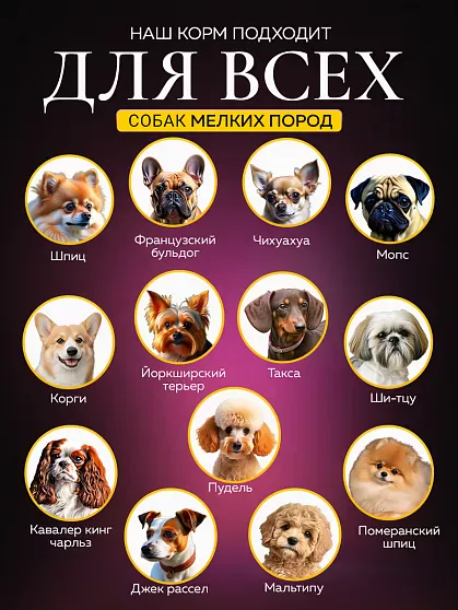 Корм для собак мелких пород Buddy Dinner Gold Line с лососем, 10 кг + 2 кг