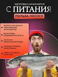 Корм для собак мелких пород Buddy Dinner Orange Line с лососем, 3кг + 1кг