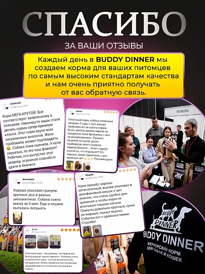 Корм для собак мелких пород Buddy Dinner Gold Line с лососем, 3 кг + 1 кг