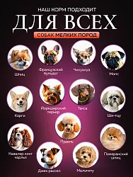 Корм для лысых собак мелких пород Buddy Dinner Orange Line с лососем, 3кг + 1кг