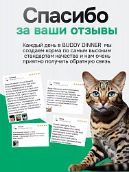 Корм для кошек Buddy Dinner Gold Line с курицей, 2 кг