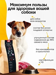 Корм для собак средних пород Buddy Dinner Platinum Line с индейкой и уткой, 3 кг
