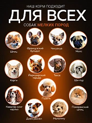 Корм для собак мелких пород Buddy Dinner Orange Line с индейкой, 7 кг