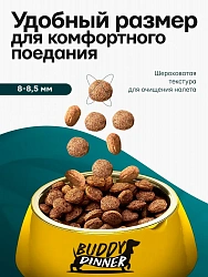 Корм для собак мелких пород Buddy Dinner Platinum Line с индейкой и уткой, 3 кг
