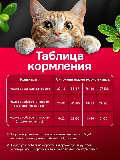 Корм для кошек Buddy Dinner Gold Line с индейкой, 15 кг