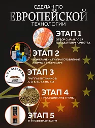 Корм для собак всех пород Buddy Dinner Orange Line с лососем, 10 + 2кг