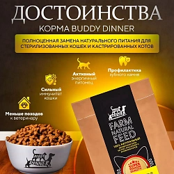 Корм для кошек Buddy Dinner Gold Line с курицей, 1 кг