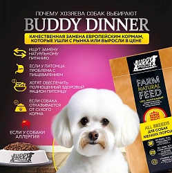 Корм для собак мелких пород Buddy Dinner Gold Line с лососем, 5 кг