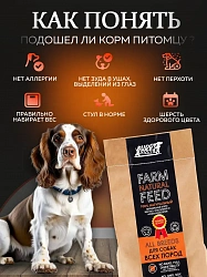 Корм для собак всех пород Buddy Dinner Orange Line с лососем, 10 + 2кг