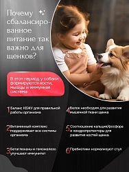 Корм для щенков средних пород Buddy Dinner Platinum Line с индейкой, 1 кг