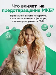 Корм для кошек Buddy Dinner Gold Line с курицей, 2 кг