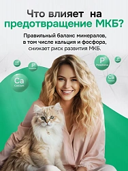 Корм для кошек Buddy Dinner Gold Line с курицей, 2 кг